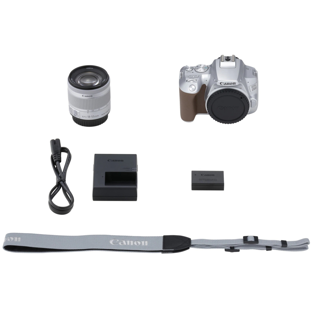 Цифровий фотоапарат Canon EOS 250D kit 18-55 IS STM Silver (3461C003) - зображення 10