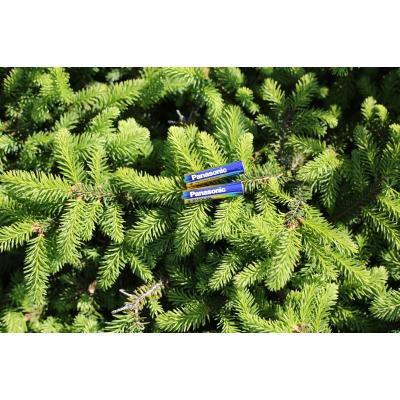 Батарейка Panasonic AAA LR03 Evolta * 4 (LR03EGE/4BP) - зображення 5