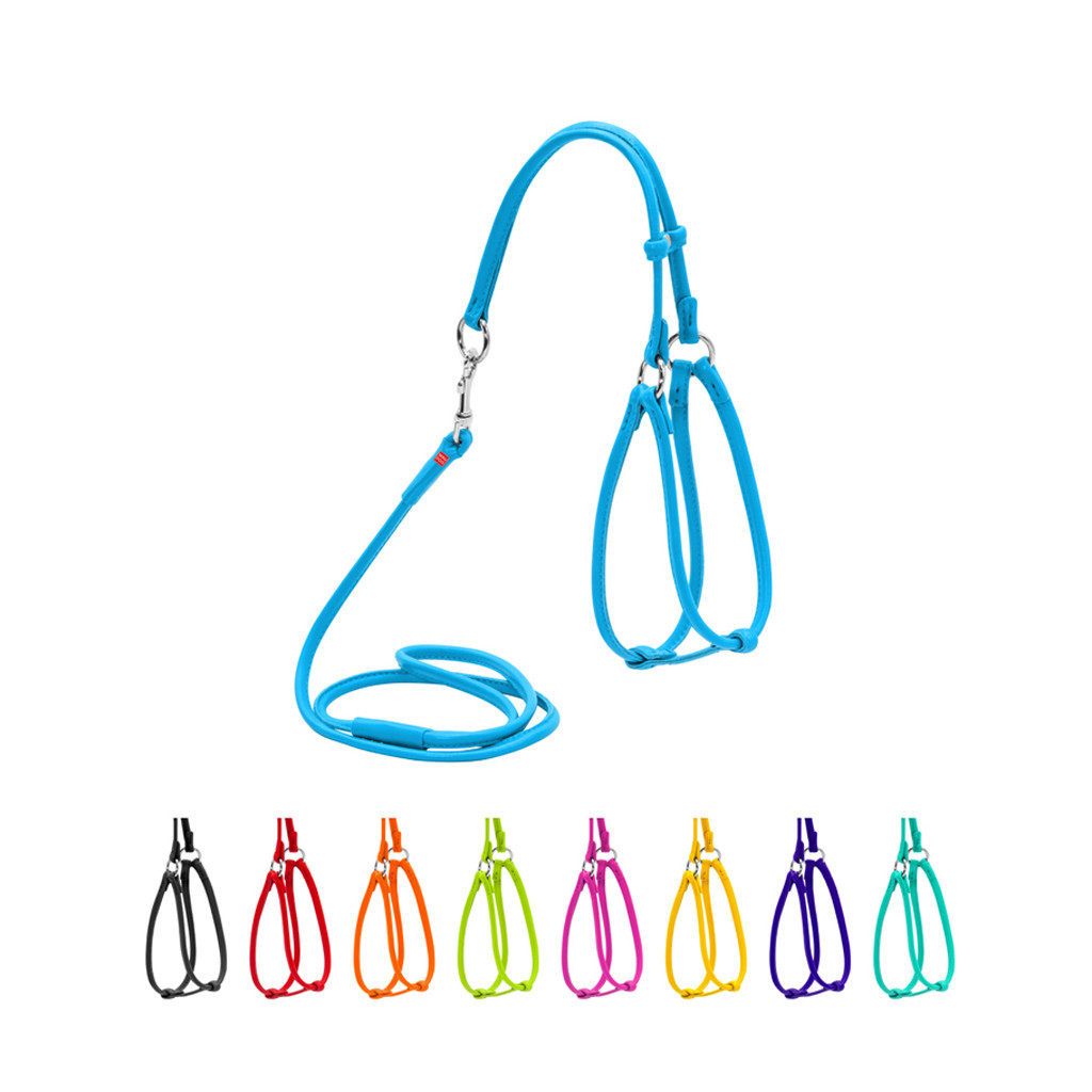 Шлея для собак WAUDOG Glamour кругла, з повідцем XS блакитна (34022) - зображення 1