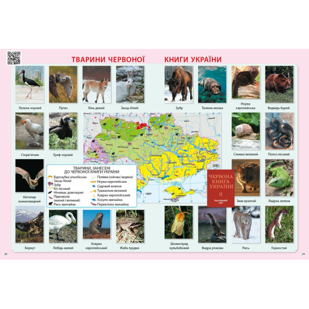 Атлас НУШ Я досліджую світ. 3 клас - О.В. Тагліна Ранок (9786170962454) - зображення 7