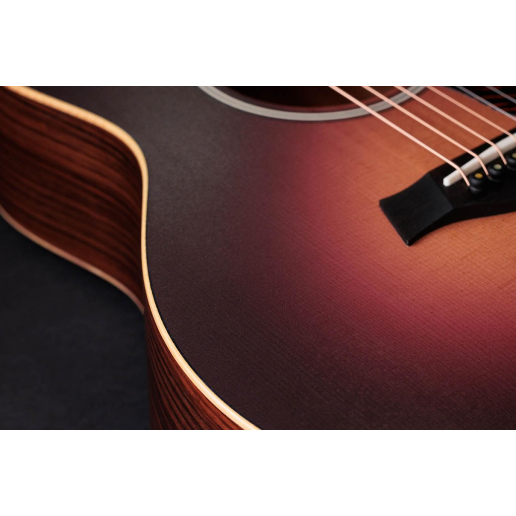 Гітара електроакустична Taylor Guitars 50th Anniversary GS Mini-e Rosewood SB LTD (236873) - изображение 10