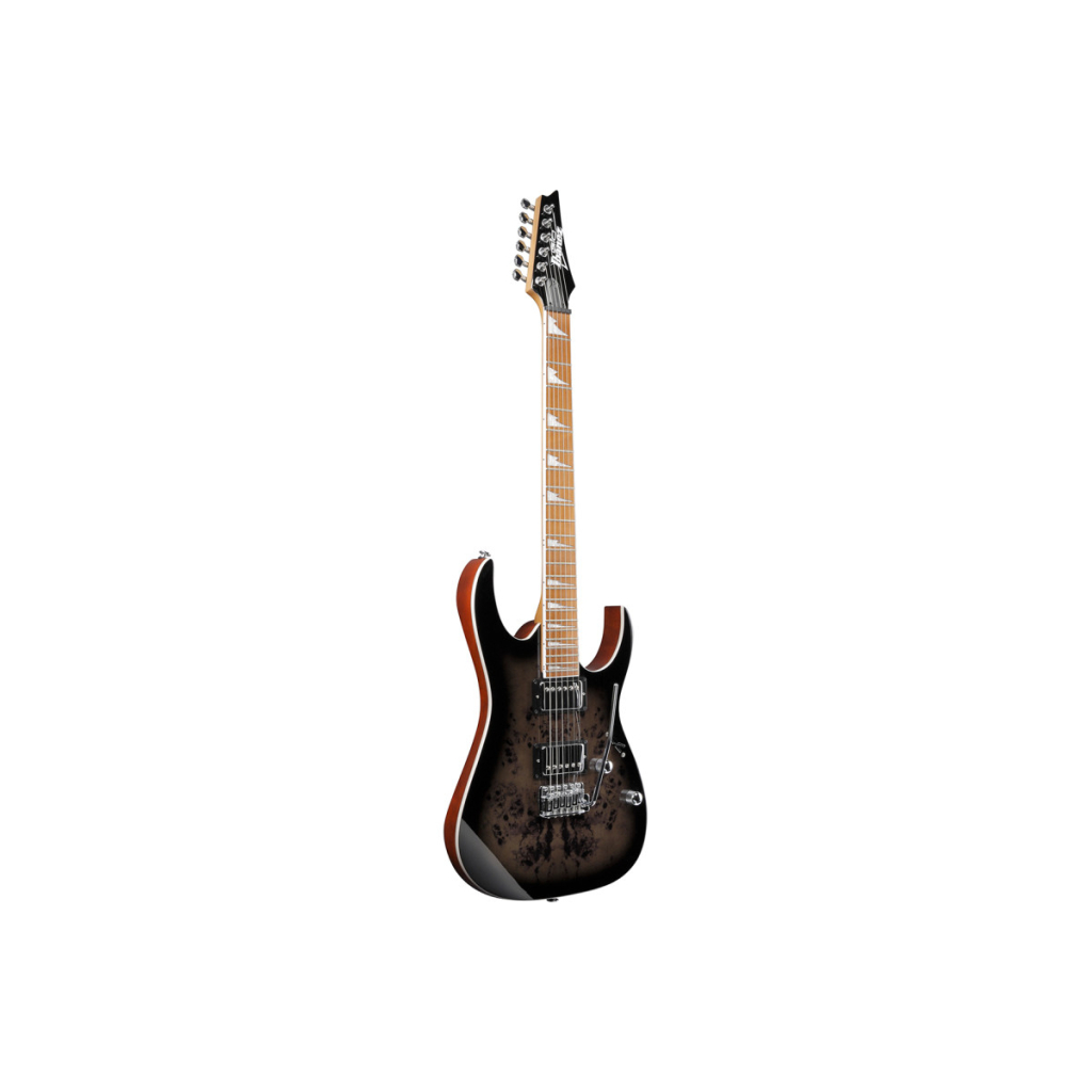Електрогітара Ibanez GRG220PA1 (234184) - зображення 3