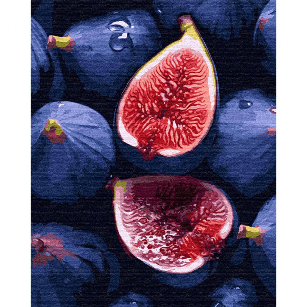 Картина по номерам Santi Інжир 40х50 см (954760) - зображення 1