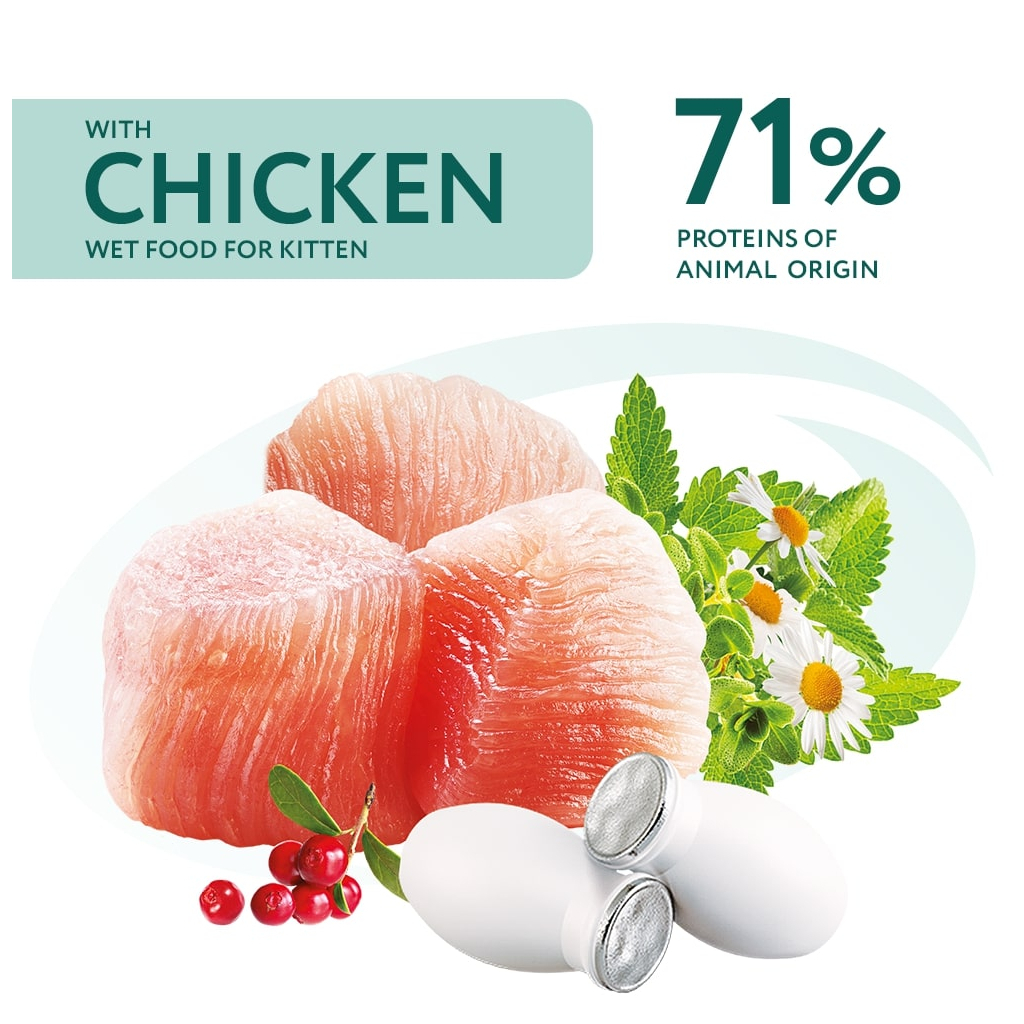 Вологий корм для кішок Optimeal для кошенят зі смаком курки 85 г (4820083905452) - зображення 2