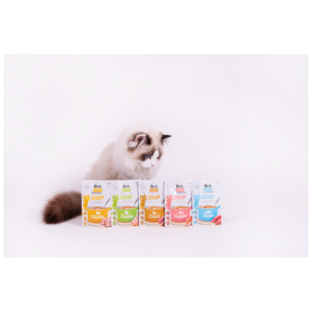Вологий корм для кішок Brit Care Soup with Salmon з лососем 75 г (8595602569212) - зображення 5