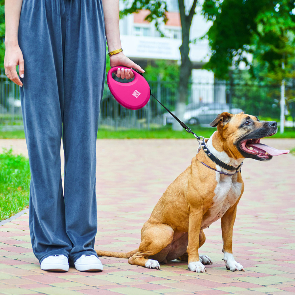 Повідець для собак WAUDOG R-leash з контейнером для пакетів S до 12 кг 3 м рожевий (26277) - зображення 6