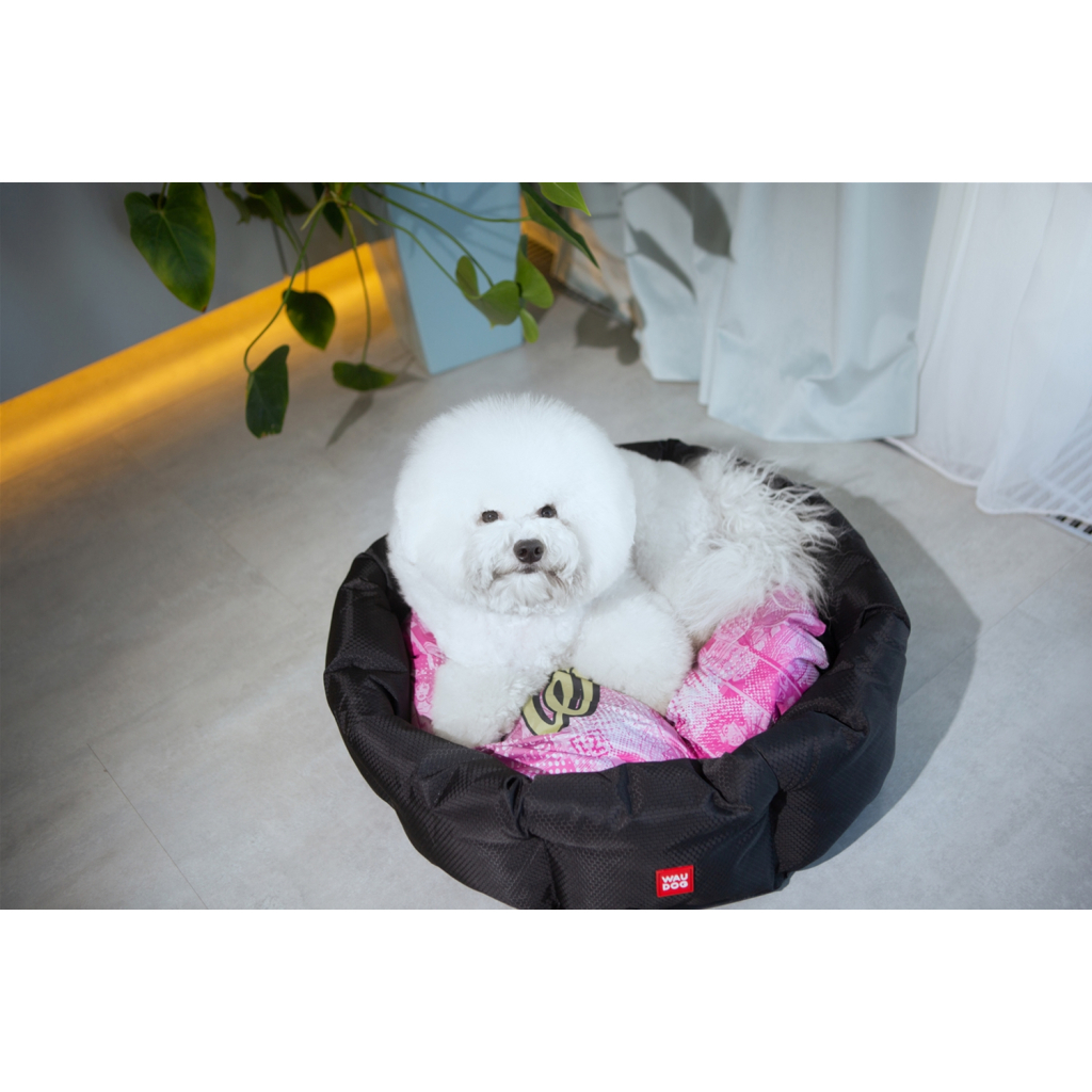 Лежак для тварин Collar Waudog Relax "Чудо-жінка" зі змінною подушкою L 49х59х20 см (226-2007) - зображення 5