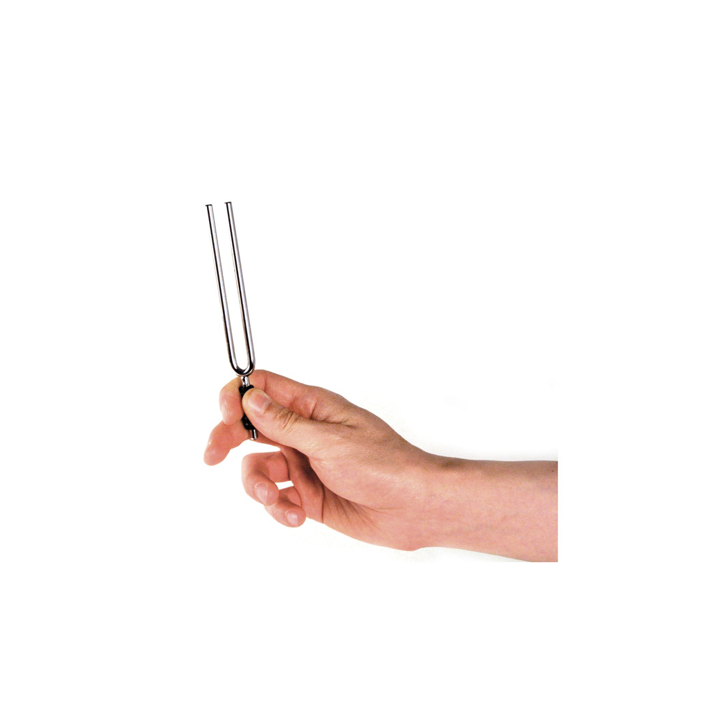 Камертон D'Addario Tuning Fork (A) (PWTF-A) - изображение 2