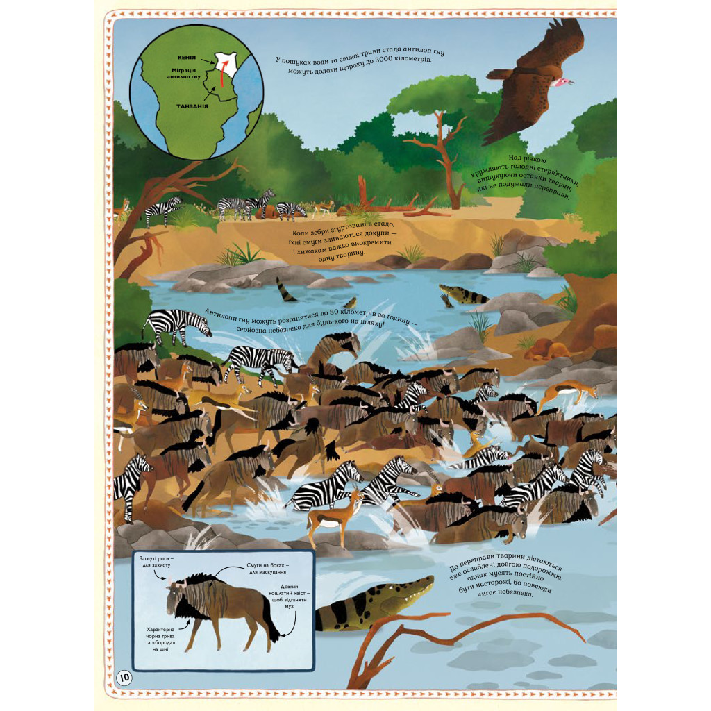 Книга Атлас тварин - Емілі Гокінс, Рейчел Вільямс #книголав (9786177563388) - зображення 12