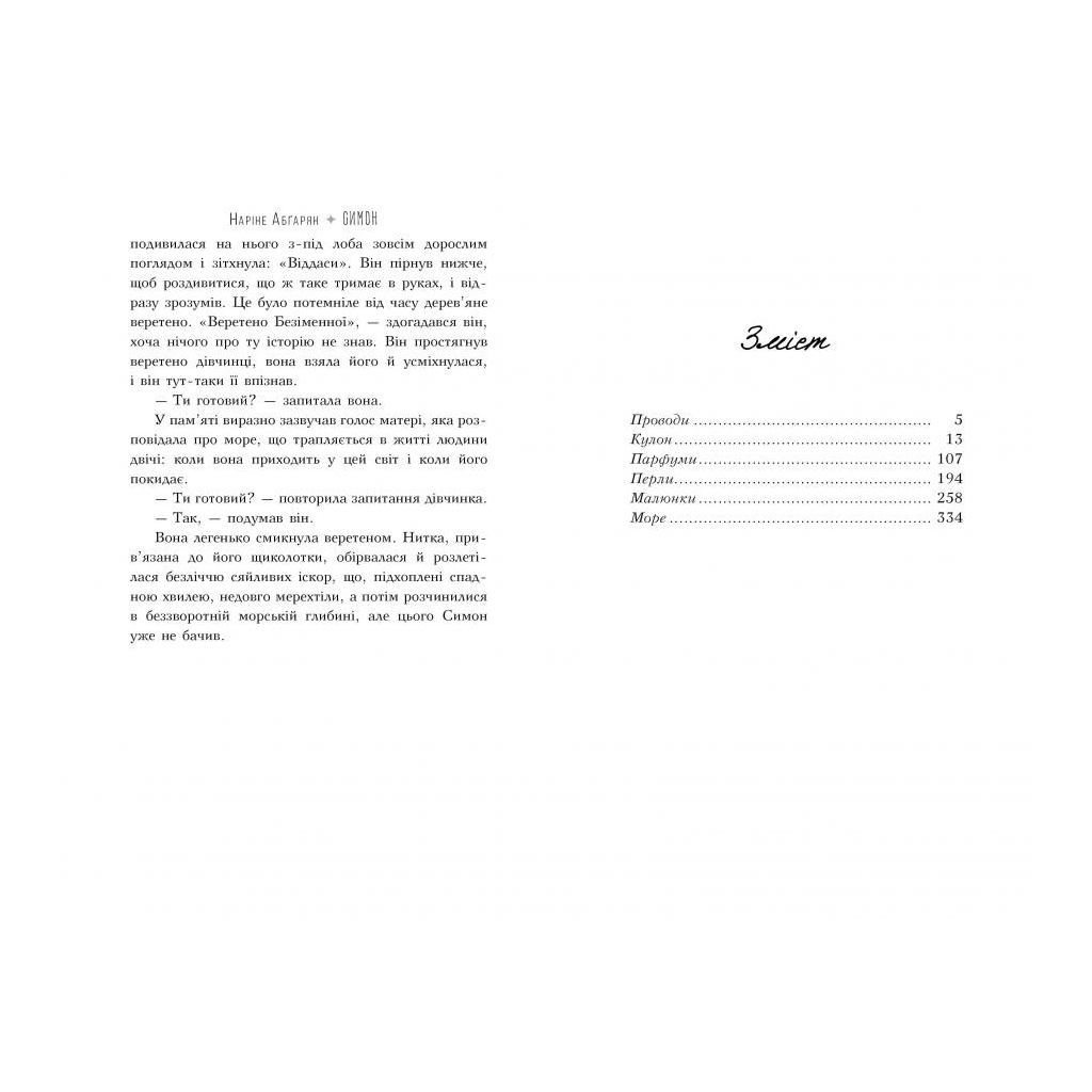 Книга Симон - Наріне Абґарян Видавництво РМ (9789669176486) - зображення 5