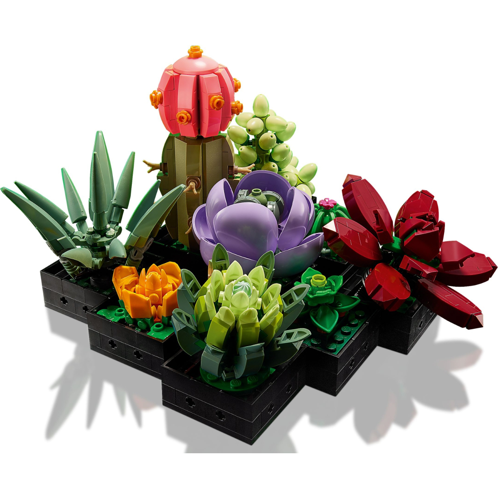 Конструктор LEGO Botanicals Сукуленти (10309-) - зображення 3