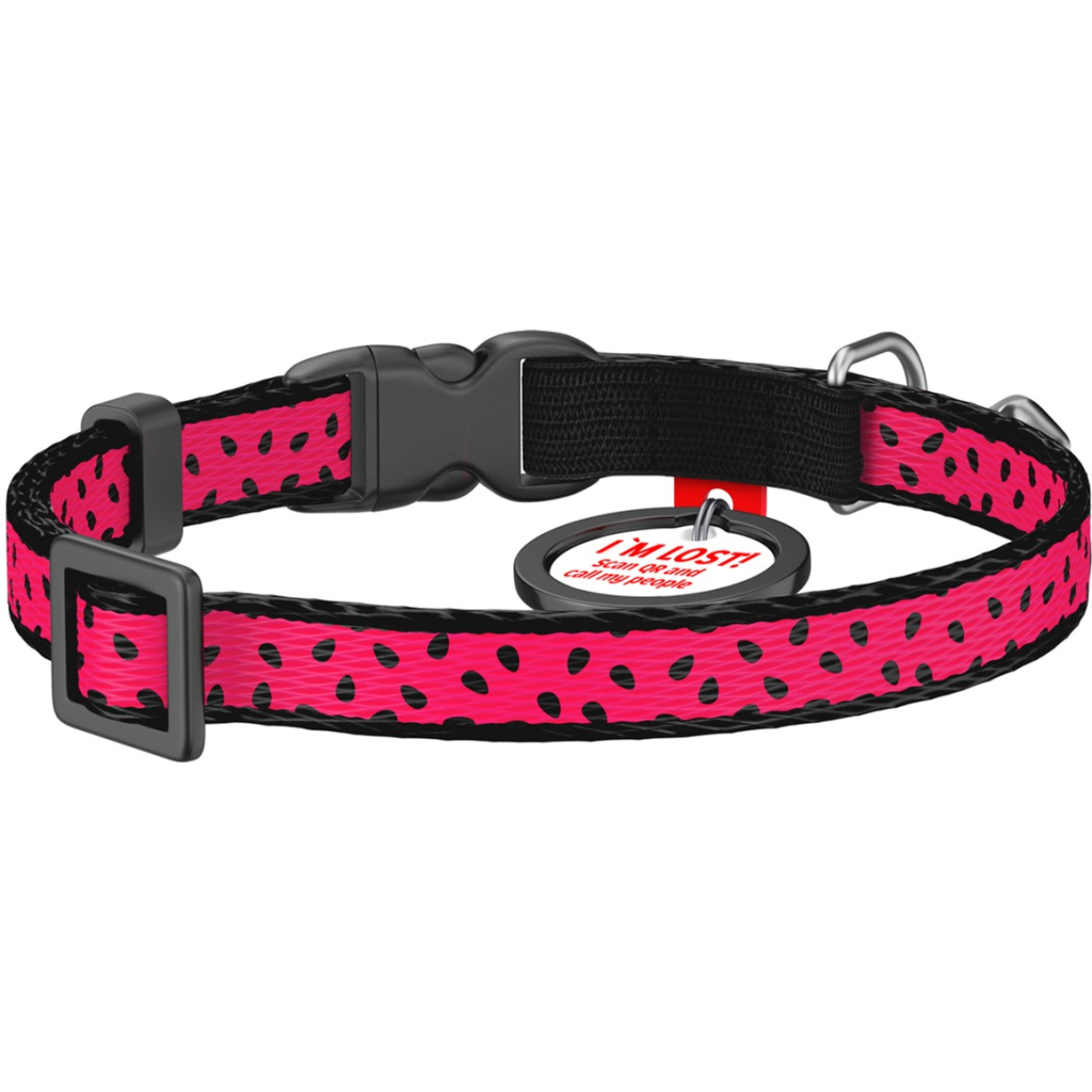 Нашийник для тварин WAUDOG Кавун з QR паспортом XS 20-30 см (5269) - изображение 2