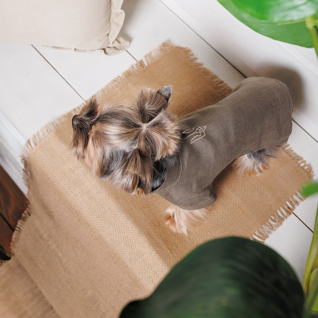 Футболка для тварин Pet Fashion Marco з вишивкою XS2 (4823082430352) - зображення 3