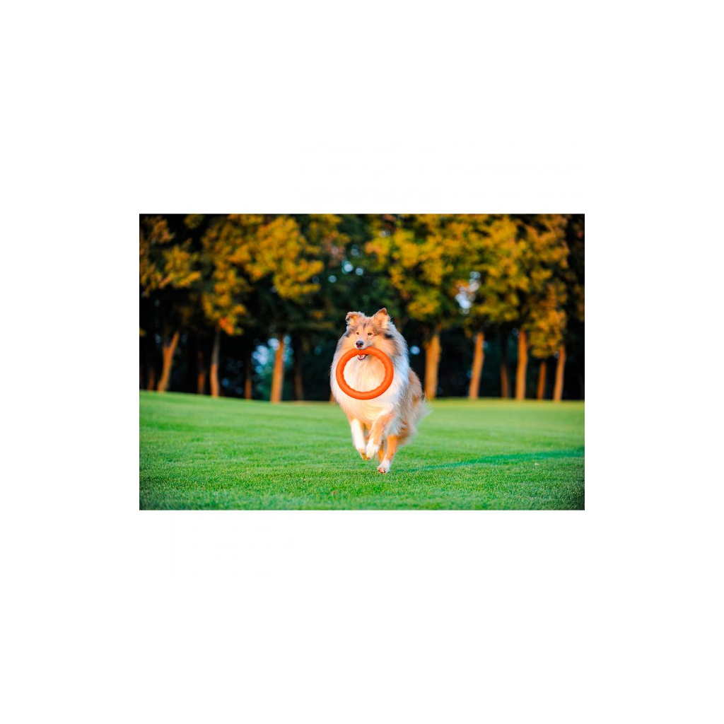 Іграшка для собак Collar PitchDog Кільце для апортування 17 см помаранчеве (62364) - изображение 8