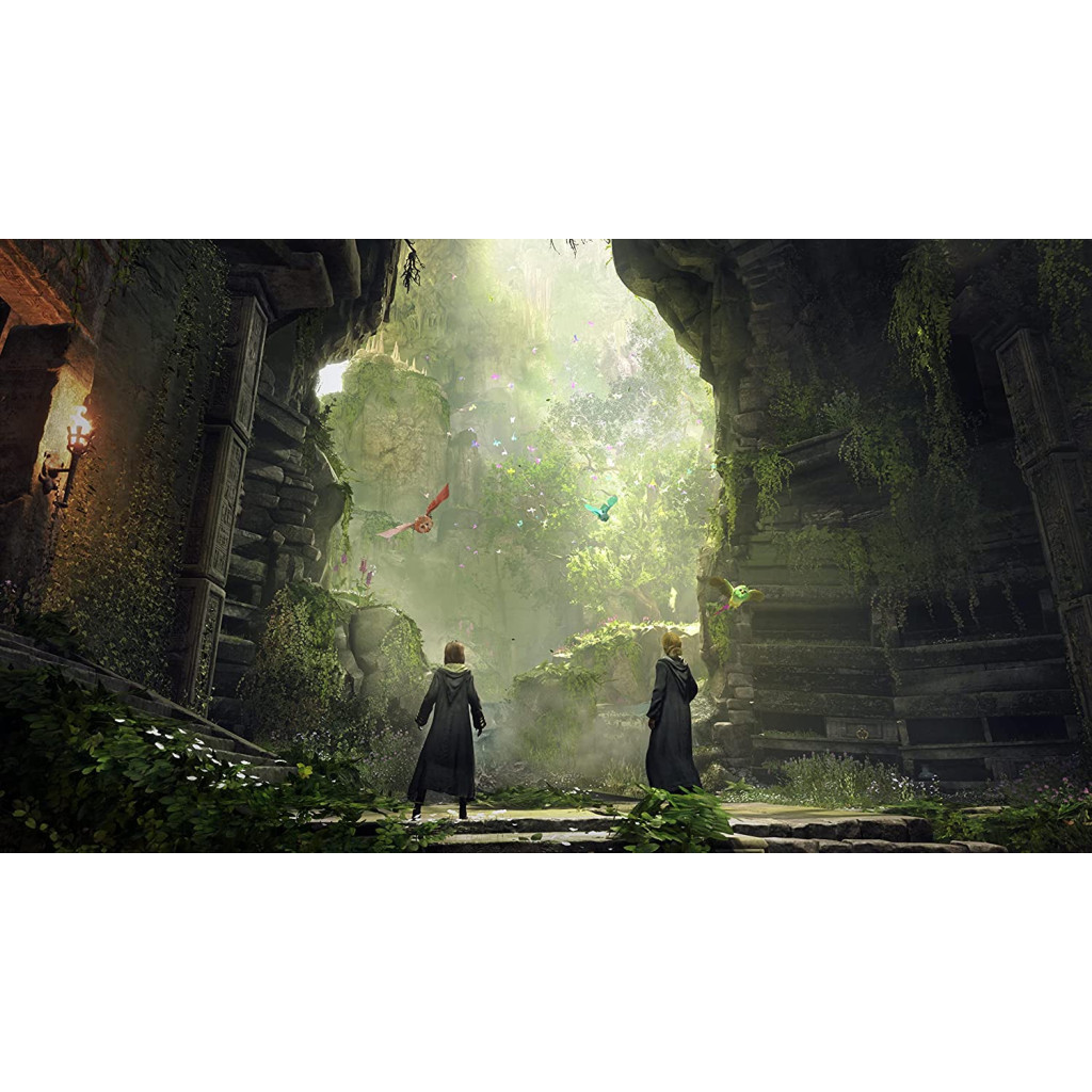 Гра Sony Hogwarts Legacy. Deluxe Edition, BD диск (5051895415412) - зображення 5