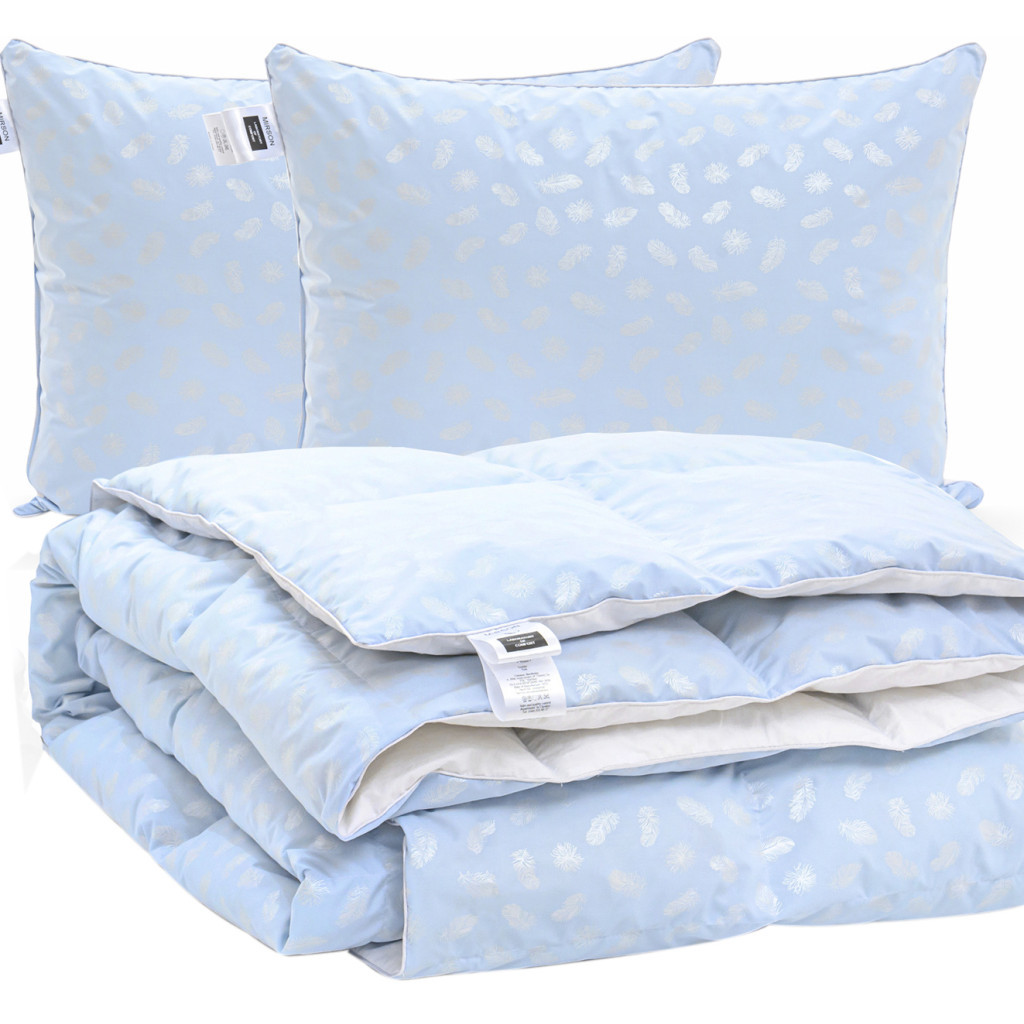 Ковдра MirSon Набір №2163 Bio-Blue Зима 90% пух 220х240 + подушки (2200003025385) - зображення 1