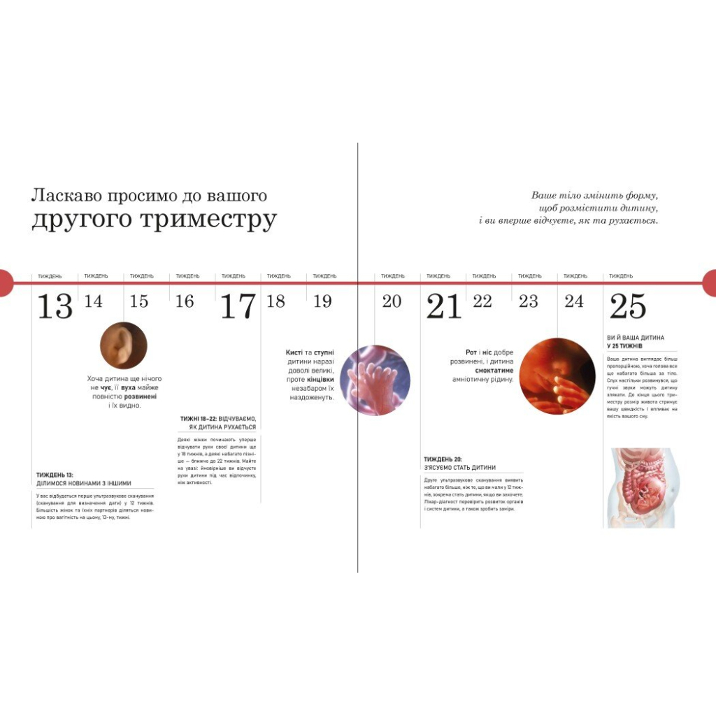 Книга Практична психологія. Вагітність день за днем - Меґґі Блотт Ранок (9786170991058) - picture 9