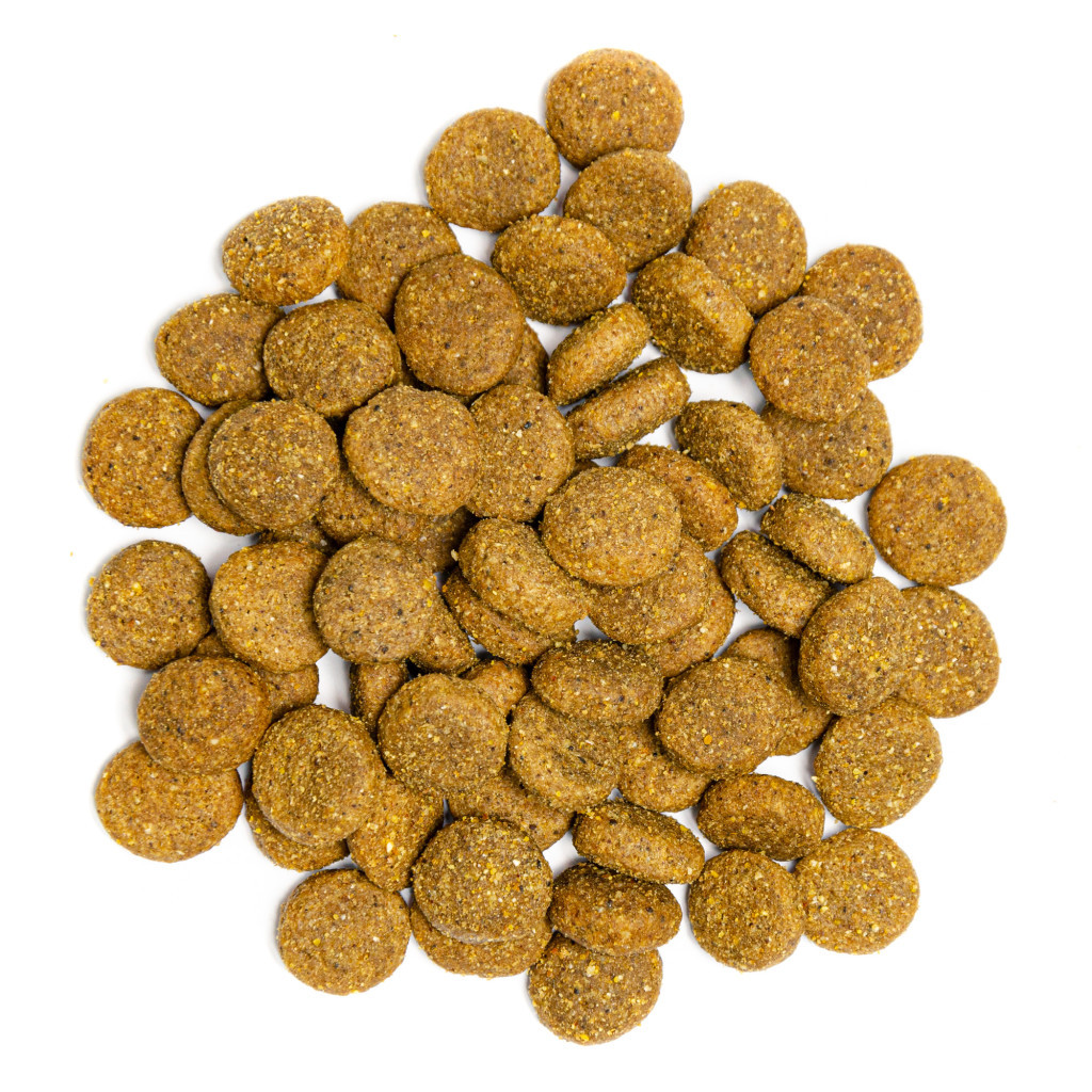 Сухий корм для собак Profine Junior Large Chicken з куркою та картоплею 3 кг (8595602517398) - зображення 4