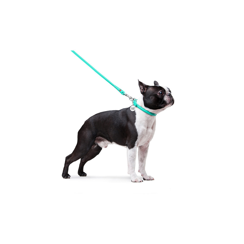 Повідець для собак WAUDOG Glamour круглий XS d 8 мм Д 122 см ментоловий (337713) - зображення 3