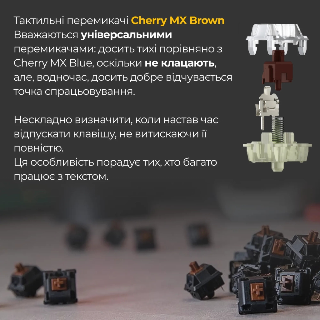 Клавіатура Ducky One 3 Mini Cherry MX Brown RGB UA USB Black (DKON2161ST-BUAPXCLAWSC1) - зображення 5
