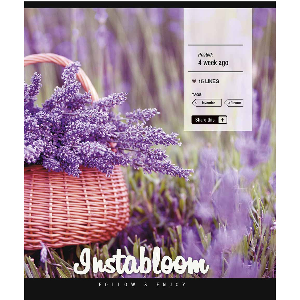 Зошит Школярик Instalife 96 аркушів лінія (096-3389L) - зображення 5