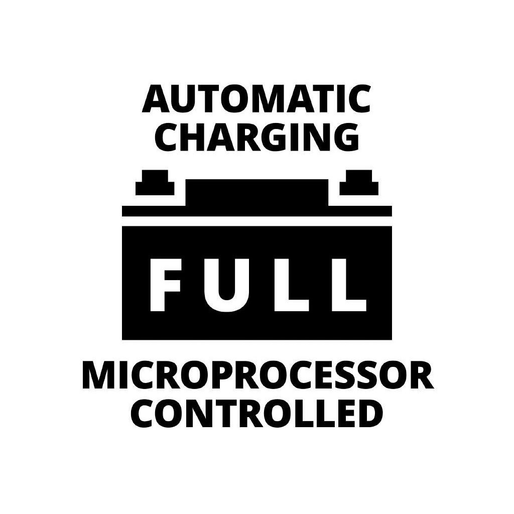 Пуско зарядний пристрій Einhell CE-BC 30 M, 12/24 В, 3-600 А/г, макс. 30А (1002275) - picture 6
