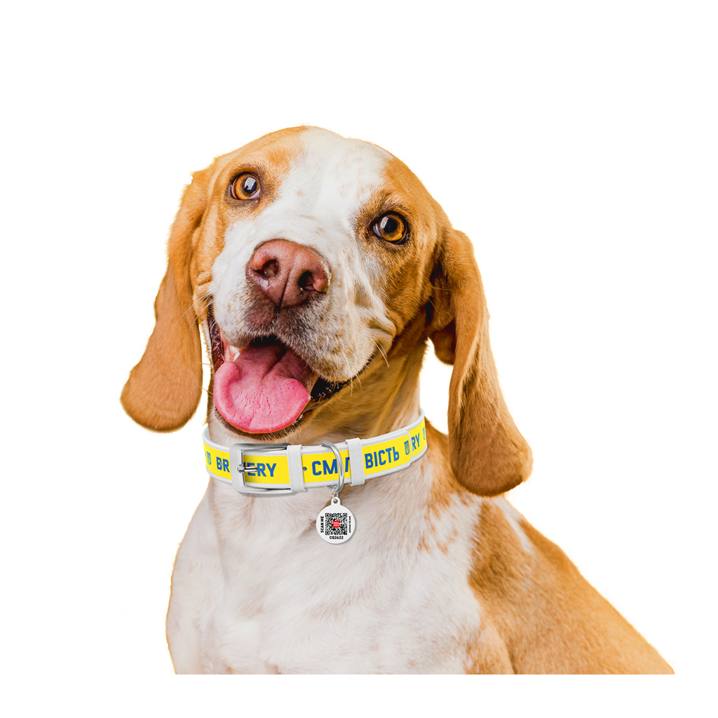 Нашийник для тварин WAUDOG Design з QR паспортом "Сміливість" Ш 15 мм Д 26-35 см білий (3603-0231-15) - зображення 4