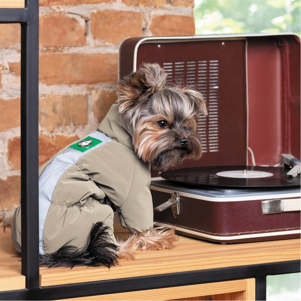 Комбінезон для тварин Pet Fashion EGO ХS2 (4823082431397) - зображення 6