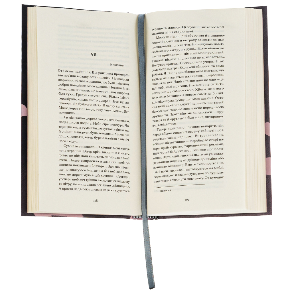 Книга Щоденник покоївки - Октав Мірбо Ще одну сторінку (9786175221662) - зображення 4