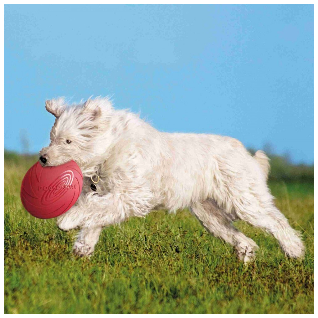 Іграшка для собак Trixie Activity Літаюча тарілка d:24 см (рожева) (4011905335032) - зображення 4