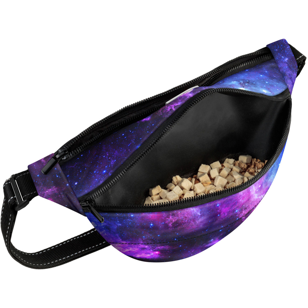 Поясна сумка-бананка для собак WAUDOG Family NASA21 зі знімним ременем 33х17х10 см (5688-0148) - зображення 3