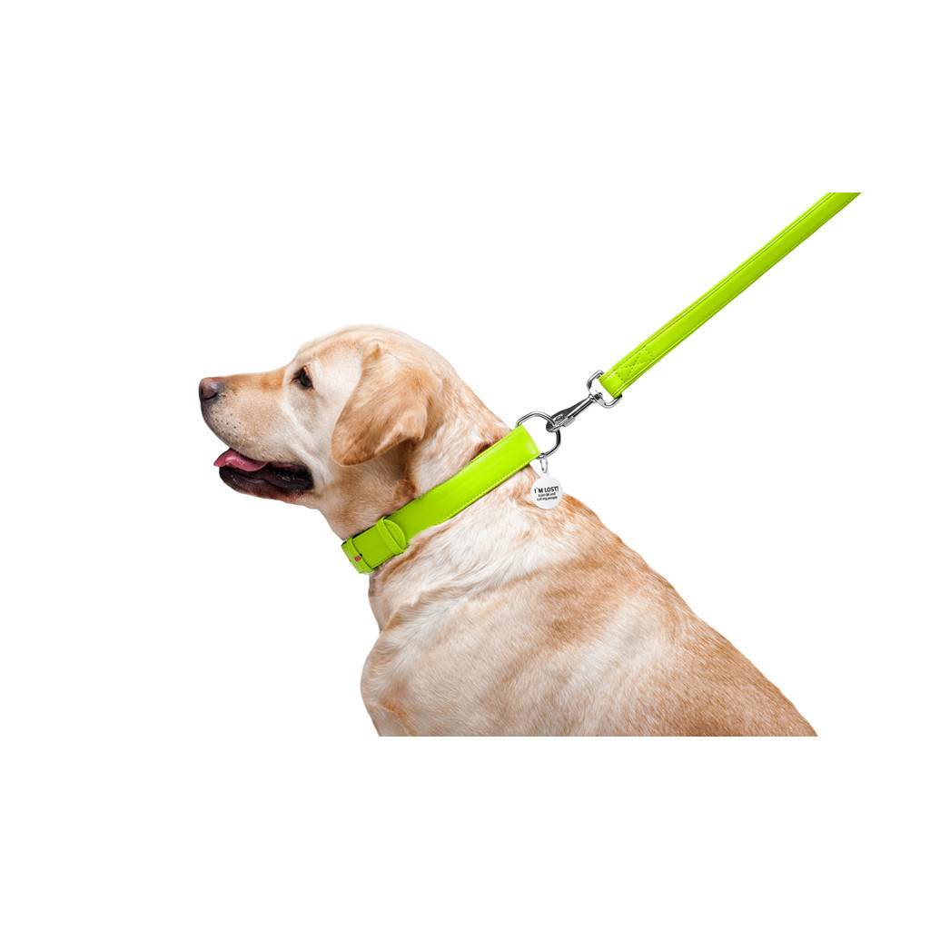 Повідець для собак WAUDOG Glamour шкіряний M-XXL салатовий (33765) - изображение 6