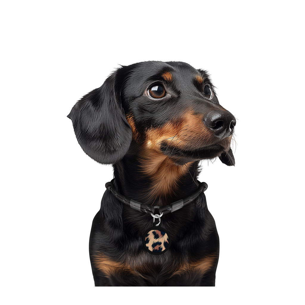 Адресник для тварин WAUDOG Smart ID з QR паспортом "Леопард", коло 25 мм (225-4066) - изображение 6