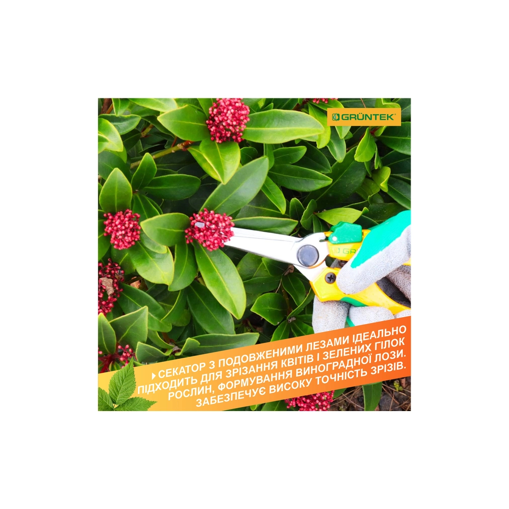 Секатор Gruntek Colibri Long обвідний, d 12мм,198мм (295170200) - зображення 5