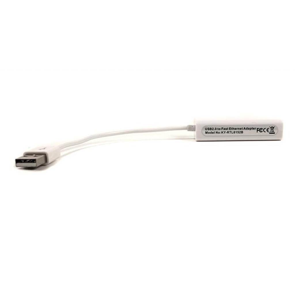 Перехідник PowerPlant USB 2.0 -> RJ45, 15cm (DV00DV4066) - зображення 3