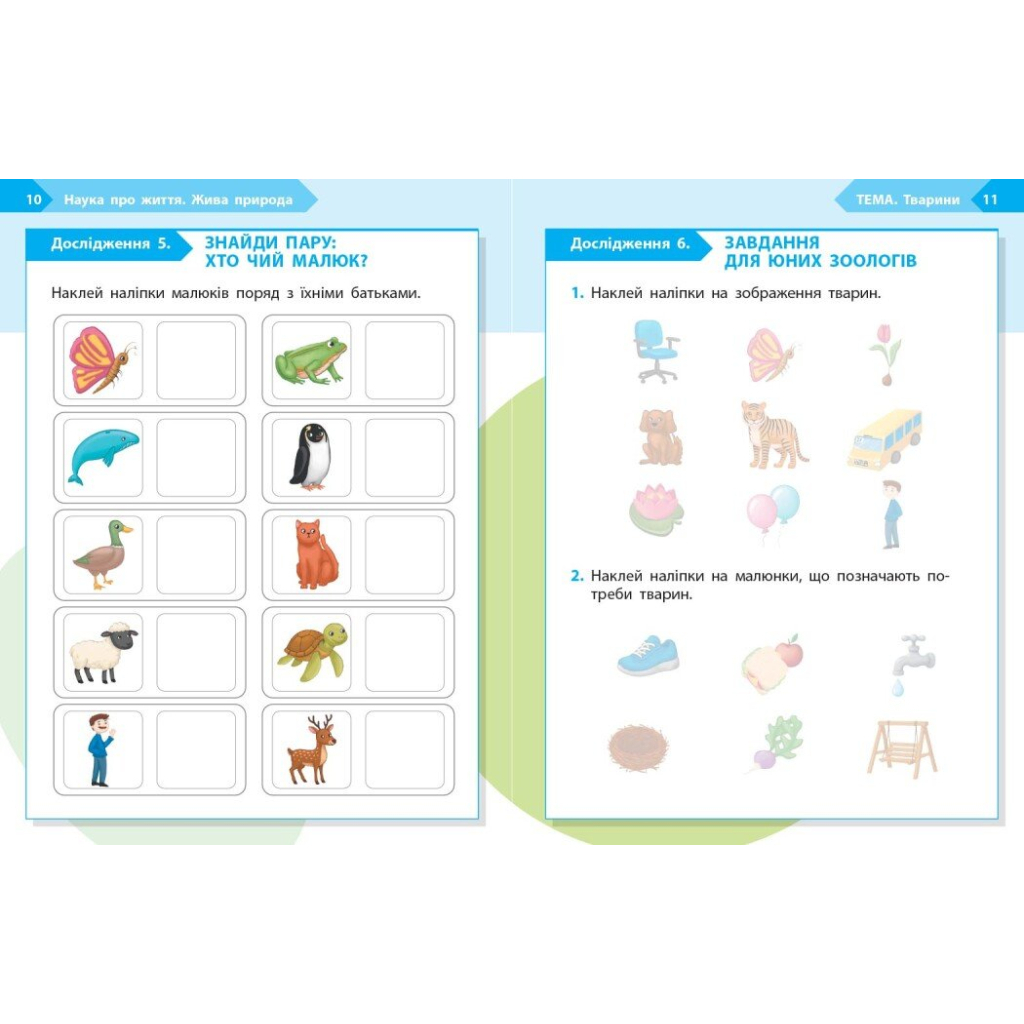 Робочий зошит STEM-старт. 1 клас. Наука про життя - І.В. Потапенко, О.А. Дубовик, О.В. Онопрієнко Ранок (9786170995483) - зображення 4