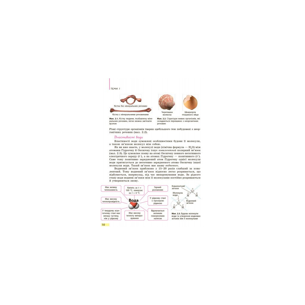 Підручник Біологія. 9 клас. Для ЗНЗ - К.М. Задорожний Ранок (9786170933614) - зображення 9