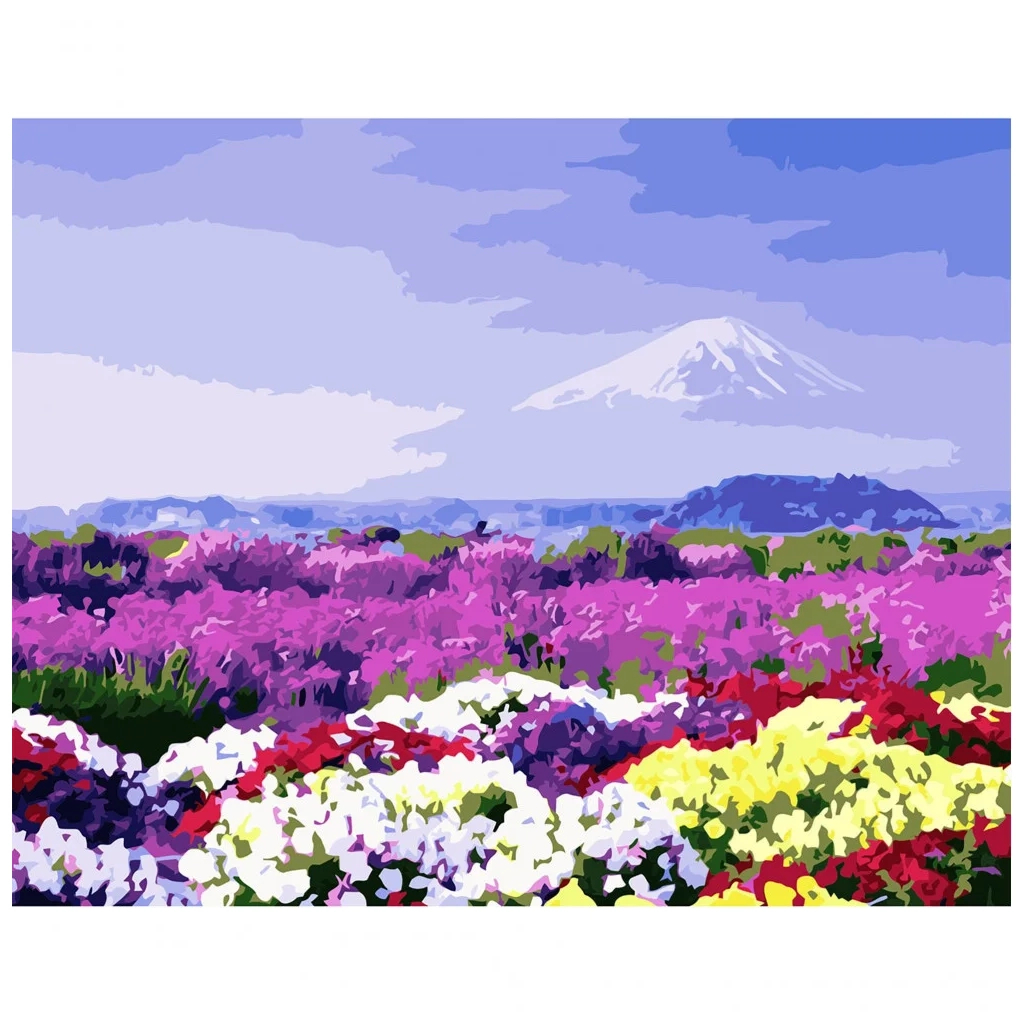 Картина по номерам Strateg Поле різнокольорових квітів 40х50 см (VA-2911) - зображення 1