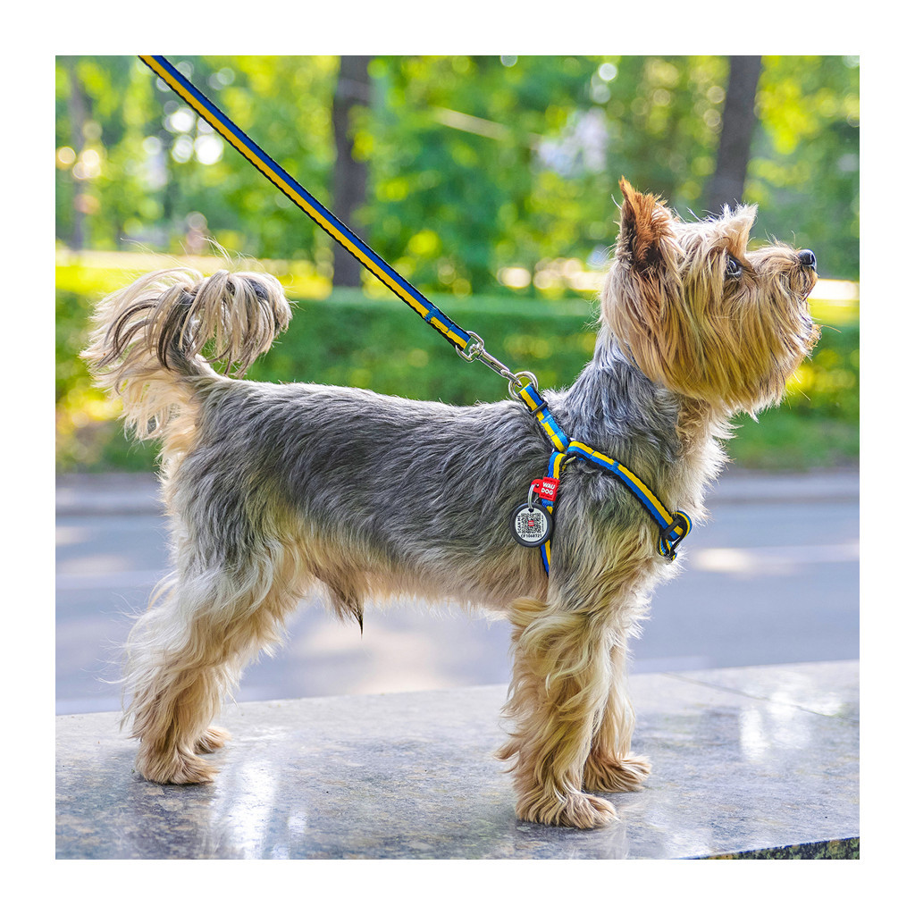 Повідець для собак WAUDOG Nylon "Colors of freedom" L-XXL 25 мм х 122 cм (4925-4020) - зображення 3