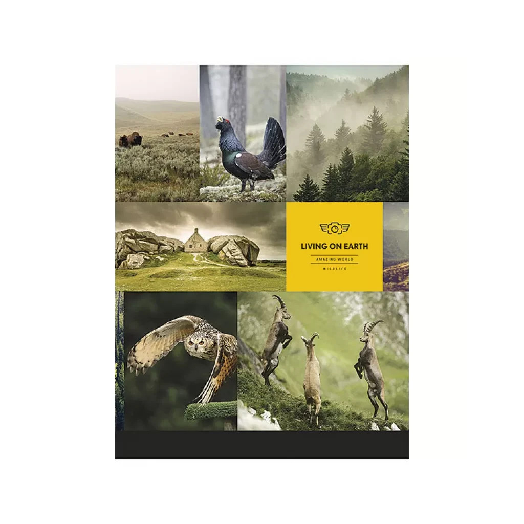 Зошит Школярик А5 Student лінія 80 аркушів (A5-080-5057L) - зображення 3