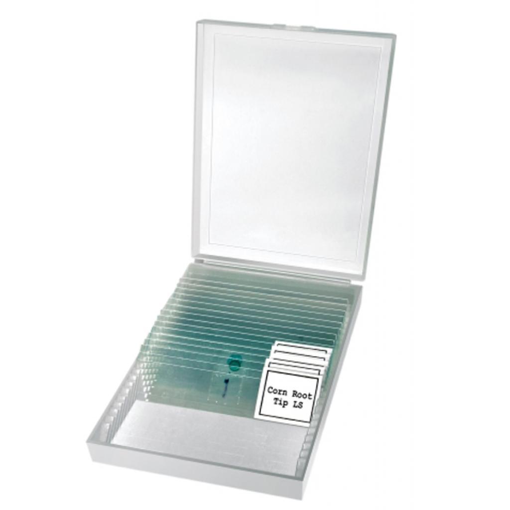 Мікроскоп Bresser Erudit Basic Bino 40x-400x (922746) - зображення 3