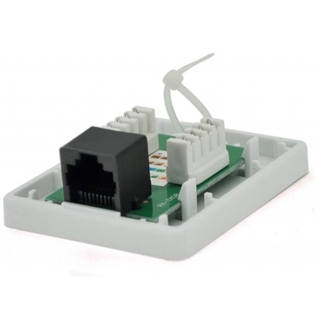 Комп'ютерна розетка RJ45x1 UTP, 8P8C, cat.5e Ritar (00197) - зображення 1
