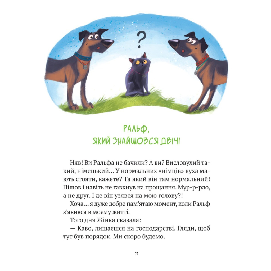 Книга Клуб врятованих. Непухнасті історії - Сашко Дерманський Vivat (9786171700123) - зображення 9