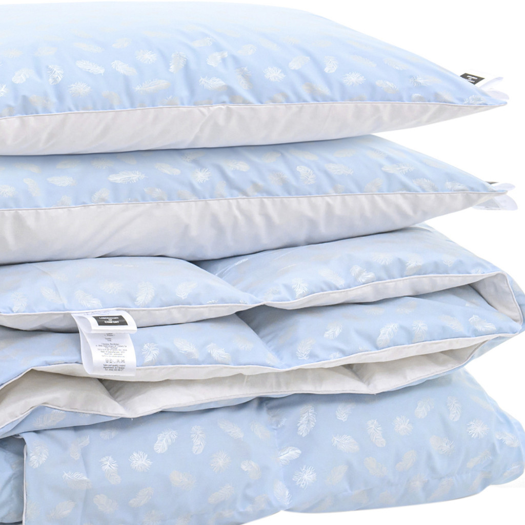 Ковдра MirSon Набір пуховий №2107 Bio-Blue Зима 90% пух 200х220 + подушки 50х70 2 шт м'які (2200003023138) - зображення 1