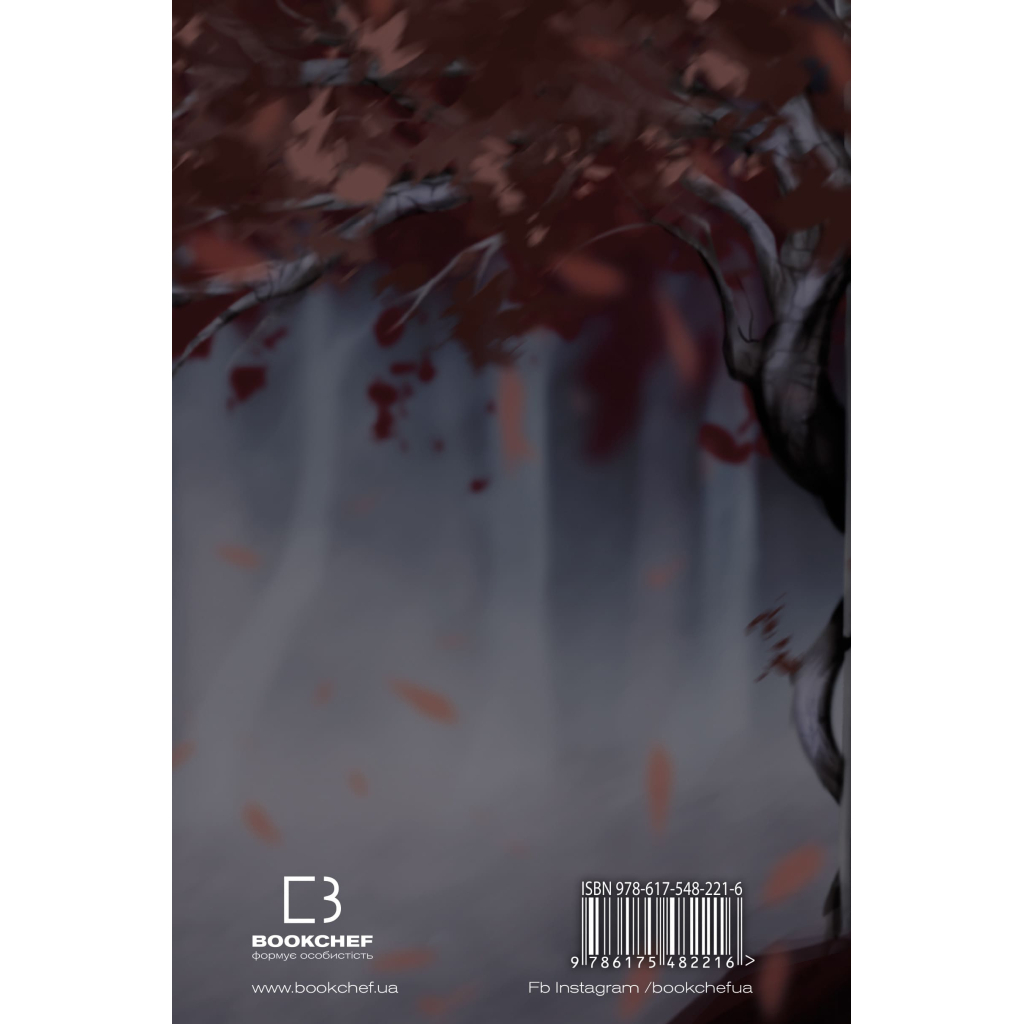 Книга Кров і попіл: Королівство плоті й вогню (Подарункове видання) - Дженніфер Л. Арментраут BookChef (9786175482216) - зображення 4