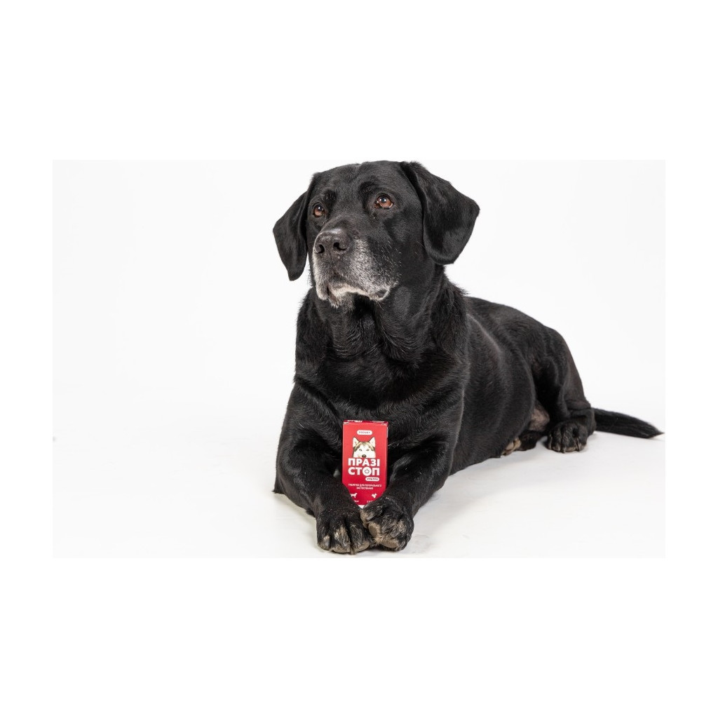 Таблетки для тварин ProVET Празістоп Ультра для собак 2 табл (антигельминтик) (4823082425037) - зображення 4