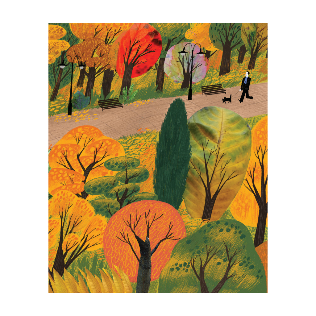 Книга Про що мріють листочки - Оксана Драчковська, Христина Лукащук Yakaboo Publishing (9786177544912) - зображення 6