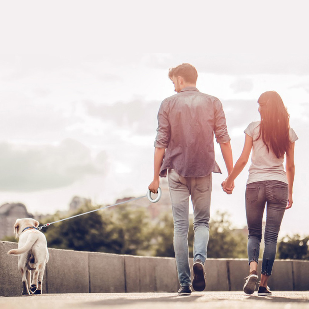 Повідець для собак WAUDOG R-leash світловідбиваюча стрічка XS-M до 40 кг 2.9 м білий (812715) - изображение 9