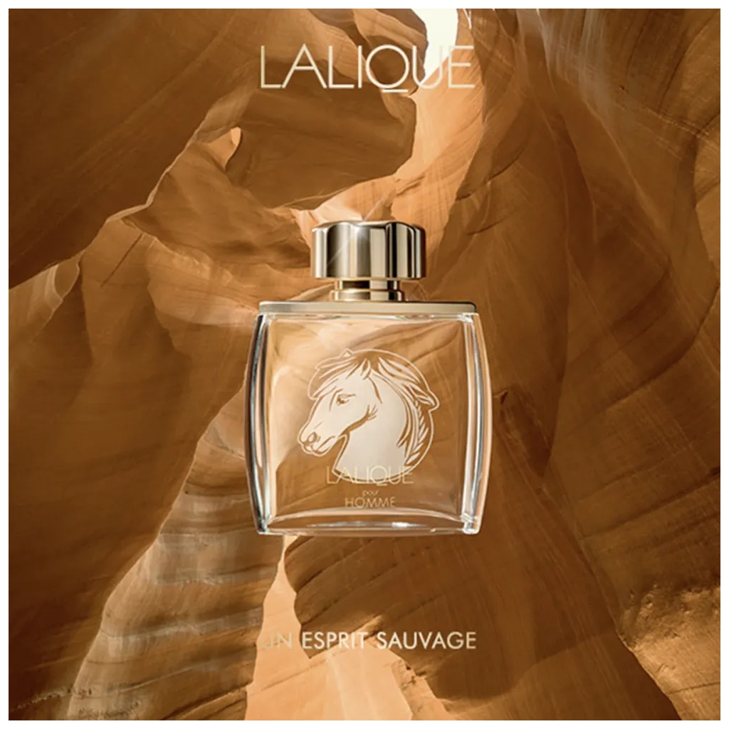 Парфумована вода Lalique Equus Pour Homme 75 мл (3454960014169) - изображение 3