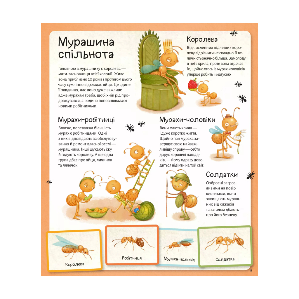 Книга Світ мурах - Штєпанка Секанінова Vivat (9786171703186) - зображення 6